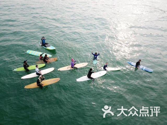 市场热议：大益2401 龙腾盛世行情上涨！-找找茶