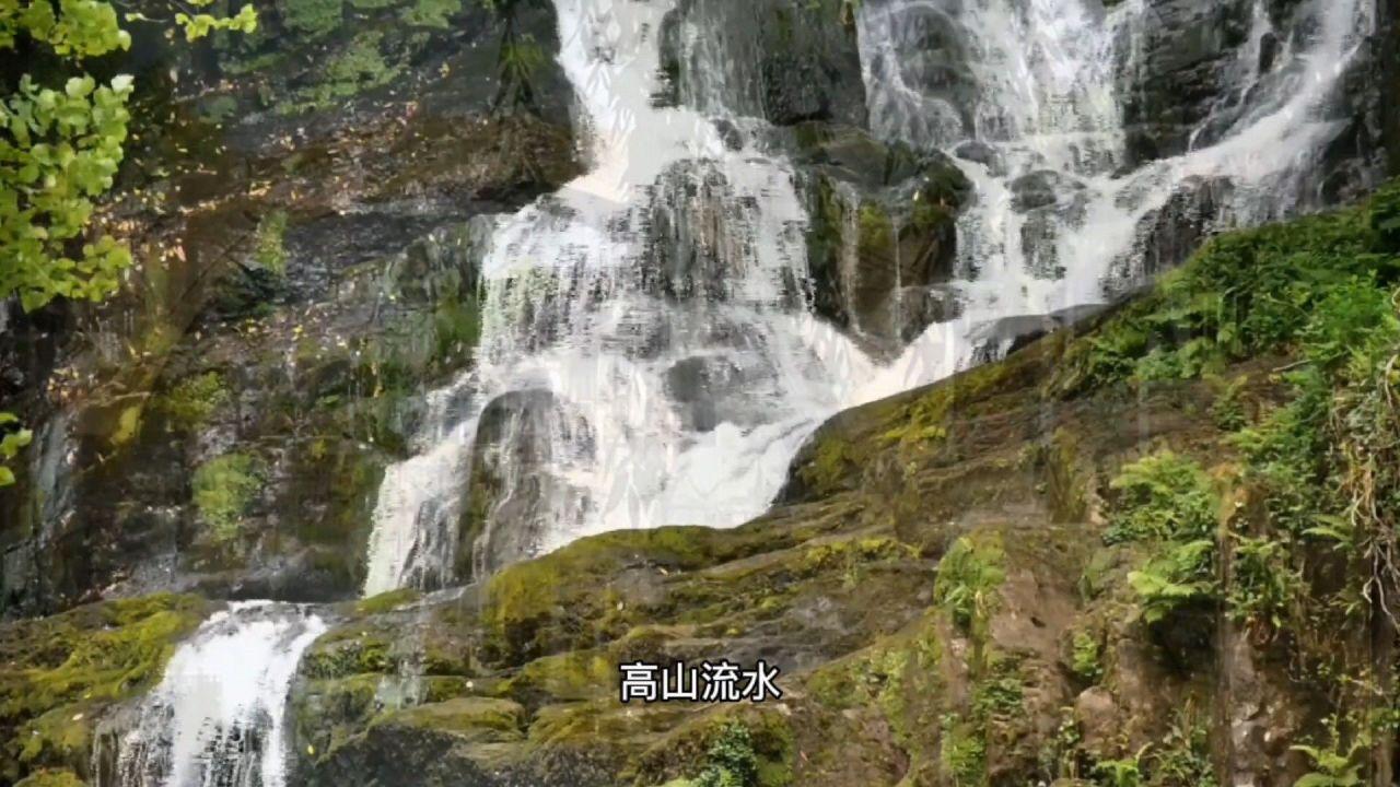探索知识星球平台,了解我们一家人都挺胖的,想问下小仙丸针对遗传的肥胖有效吗?的精彩内容!